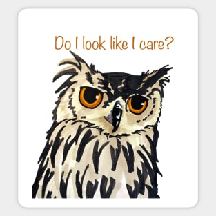 Do I Look Like I Care? Sticker